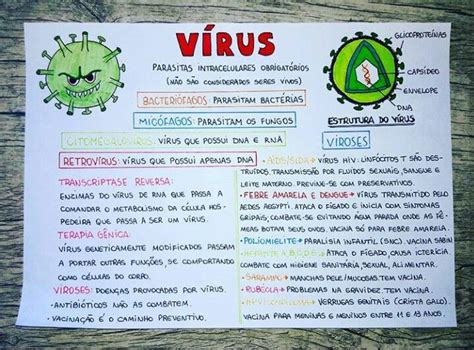 Vírus Biologia Mapa mental Materias ensino medio Biologia