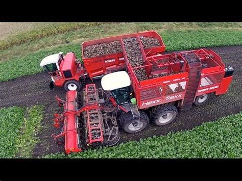 Row Sugarbeet Harvesting Rovers Boekel L Holmer Agrifac Hexx