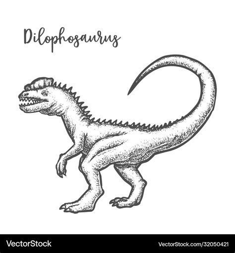 Dilophosaurus dinosaur vintage sketch Royalty Free Vector