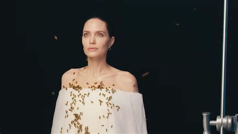 Angelina Jolie poses with 60,000 bees to raise awareness of bee ...