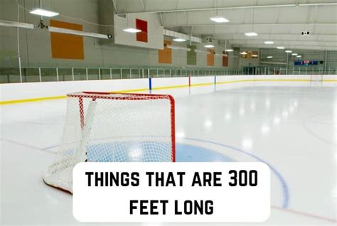 Common Things That Are Feet Long Measuringly