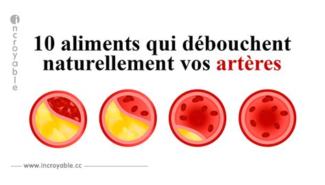 Aliments Qui D Bouchent Naturellement Vos Art Res