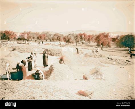 Harvesting And Threshing Floor Scenes In The Story Of Ruth And Boaz 1898