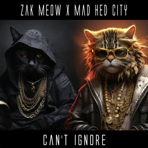 Stream Premiere Zak Meow X Mad Hed City Can T Ignore By The Drum