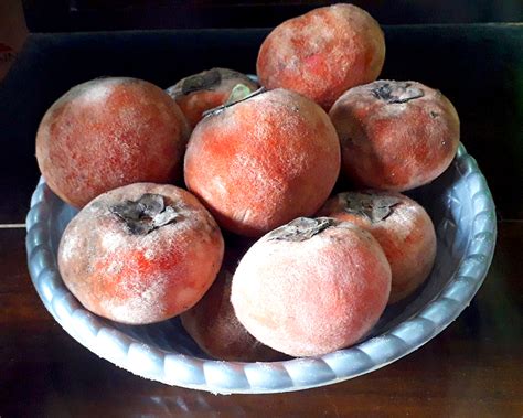 buah asli hutan indonesia   coba edoo