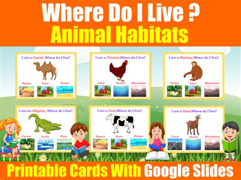 Where Do I Live Printable And Digital Animal Habitats For Early Years