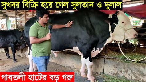 সুখবর বিক্রি হয়ে গেল গাবতলী হাটের সবচেয়ে বড় গরু সুলতান । গরু বিক্রি