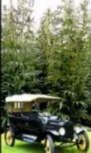 The New Hollow Earth Insider Fords Hemp Powered Hemp Made Car W