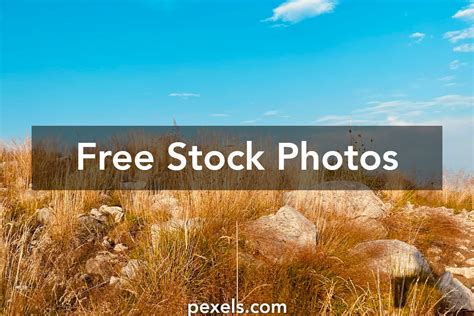 plene background    plene background stock