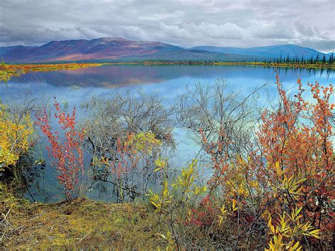 Feds finalize plan to open Alaska wildlife refuge to drilling | The ...