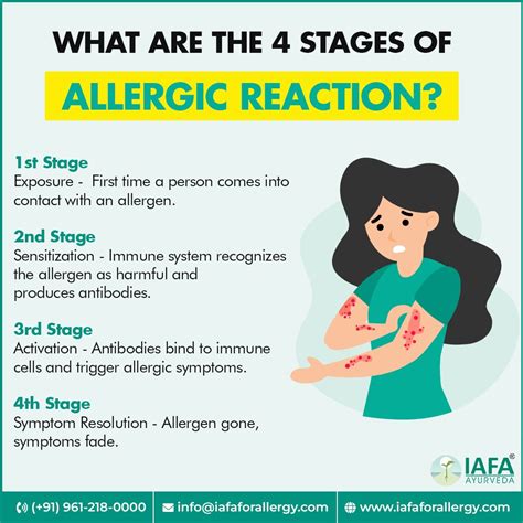 What Are the 4 Stages of Allergic Reaction? | Allergy treatment, How to ...