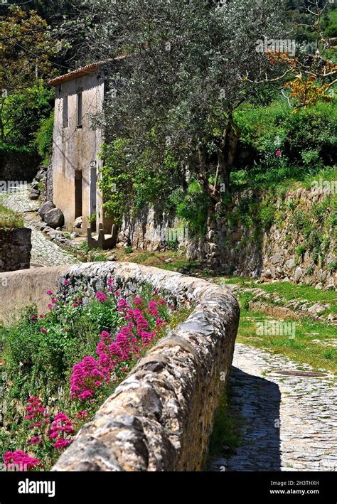 Idyllic hiking trail in Monchique, Algarve - Portugal Stock Photo - Alamy