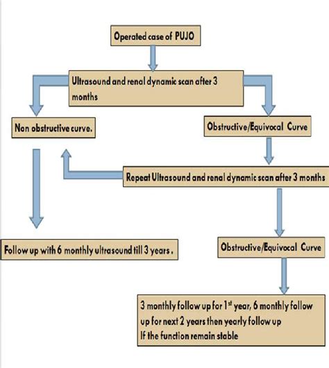 Ureteropelvic Junction Obstruction