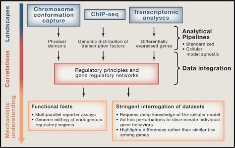 Figure 1 From From The Beauty Of Genomic Landscapes To The Strength Of