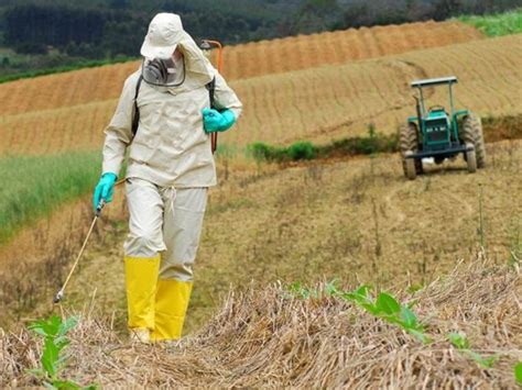 Mapa Registra 16 Defensivos Agrícolas Genéricos Incluindo Três