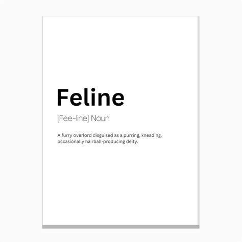 Feline Definition Meaning Canvas Print by Kaigozen - Fy