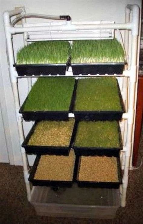 Healthy Fodder System For Your Livestock In Steps The Garden