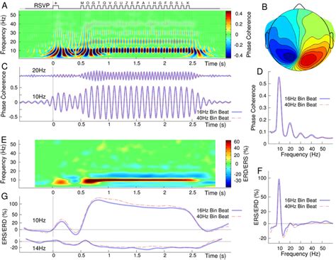 Entrainment Of Alpha Oscillations Through The Rapid Visual Stimulation