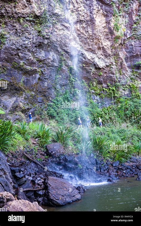 Twin Falls Waterfalls On The Twin Falls Circuit In Springbrook National