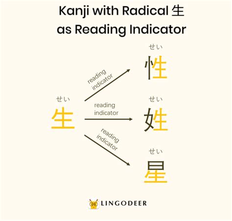 Kanji Radicals: The Cornerstone of Kanji Mastery