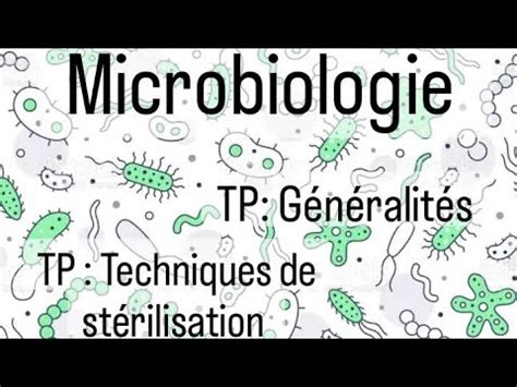 Microbiologie L2 SNV TP les techniques de stérilisation YouTube