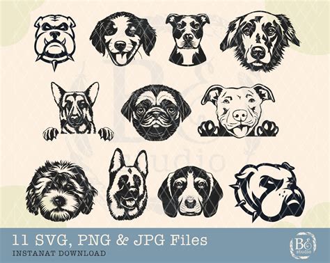 Cute Dog Face Svg, Dog Svg, Dog Face Bundle Svg, Dog Face Svg, Dog ...