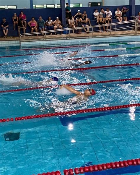 Festival De Nata O Movimenta E Anima Os Alunos Da Piscina Aldo Bello