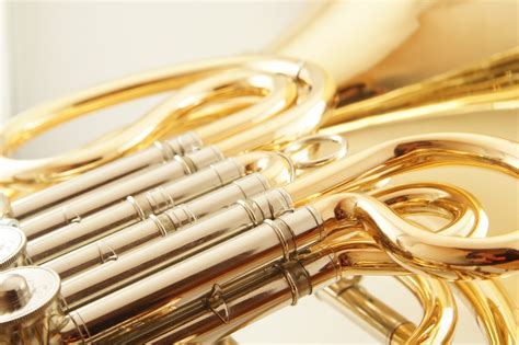 Free Images Musical Instrument Gold Trumpet Tuba Wind Instrument