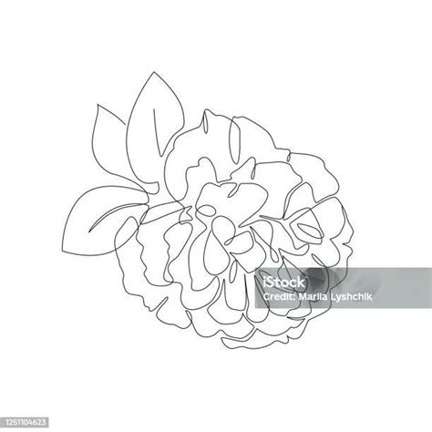 Bunga Peony Dengan Gaya Minimalis Cetak Botani Untuk Desain Poster