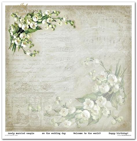 Zestaw Do Scrapbookingu SLS 047 Flower Post White Poczta Kwiatowa