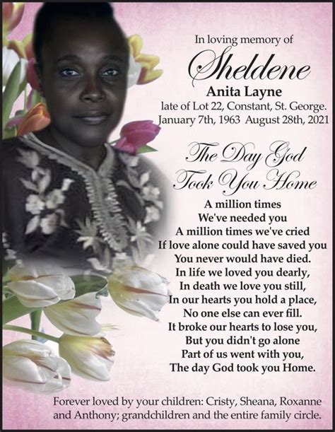 Sheldene Layne In Memoriam Nation News