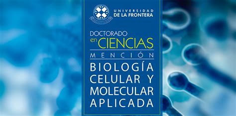 Doctorado En Ciencias Menci N Biolog A Celular Y Molecular Aplicada