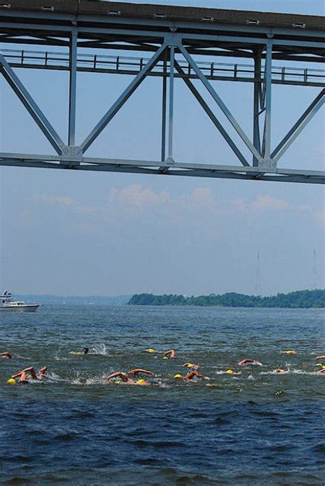 Hundreds Take The Challenge At The Great Chesapeake Bay Swim Broadneck Md Patch