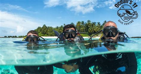 Comienza Tu Viaje De Buceo Curso Padi Open Water Diver En Redang En