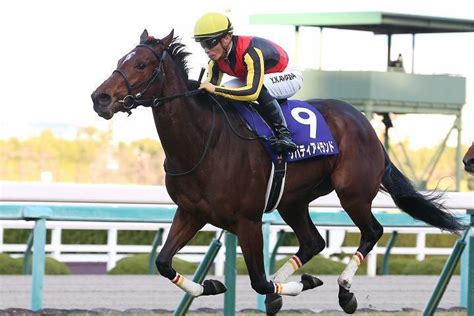 【桜花賞】昨季最優秀2歳牝馬が一強の構図に！ “主役”リバティアイランドの牙城を揺るがす対抗馬は？｜ニフティニュース