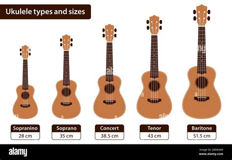 Baritone Ukulele Size