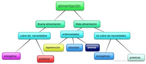 Importancia De Que Los Estudiantes Lleven Una Vida Saludable Mapa