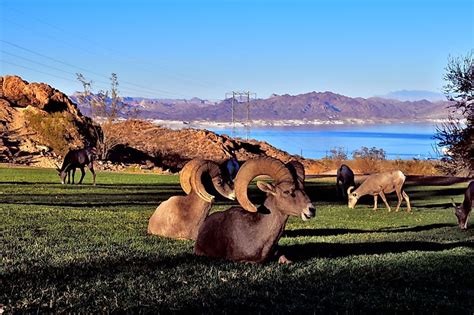 Lake Mead Worldatlas