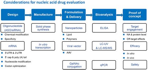 Anti Tumor Nucleic Acid Drug Discovery Platform Wuxi Biology