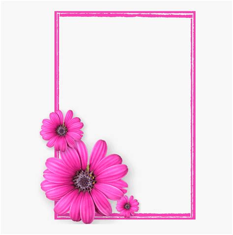 Pink Flower Frame Photos - Pink Flower Frames And Borders Png ...