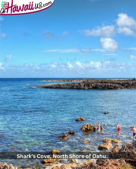 The Best Oahu Snorkeling Spots For