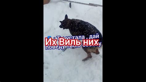 Их Виль них - YouTube