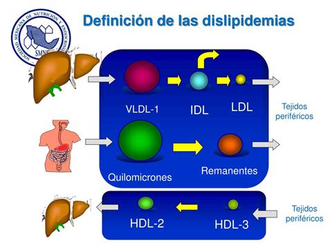 Ppt Abordaje Diagn Stico De Las Dislipidemias Powerpoint Presentation