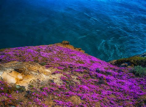 point reyes national seashore  behance