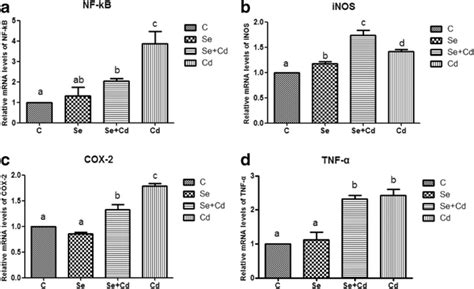 The Mrna Expression Of Nf κb Inos Cox 2 And Tnf α In Peripheral