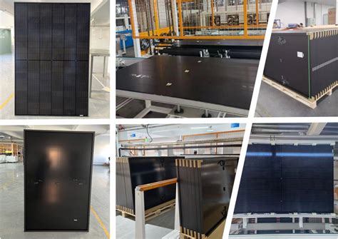 Custom Monocrystalline Watt Full Black P Type Ammonia Resistant