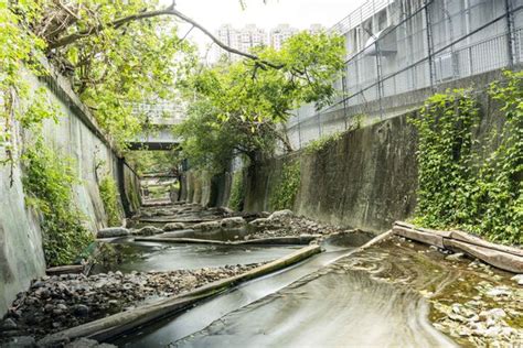 【親水文化】佐敦谷明渠活化 變身首個河畔城市