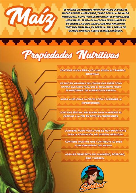 Infografia Del Maiz Nutricional Nutritivo Alimentos