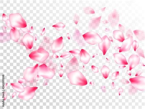 Pink Cherry Blossom Petals Isolated Stock Vector Adobe Stock