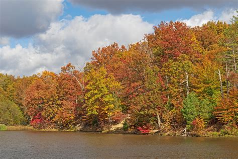 Leaf Peepers Guide The Beautiful Colors Of Deciduous Trees In Fall Complete Tree Care